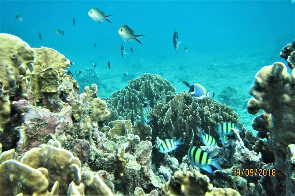 Pulau Weh Paradise Sabang  Exteriér fotografie